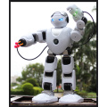 DWI dowellin Intelligent RC Smart Robot Toy Alpha 2 Robot For Girls